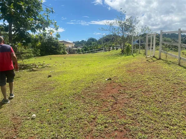 Carr 352 Kmhm 2.2 Bo Quemado, Mayaguez, PR 00680