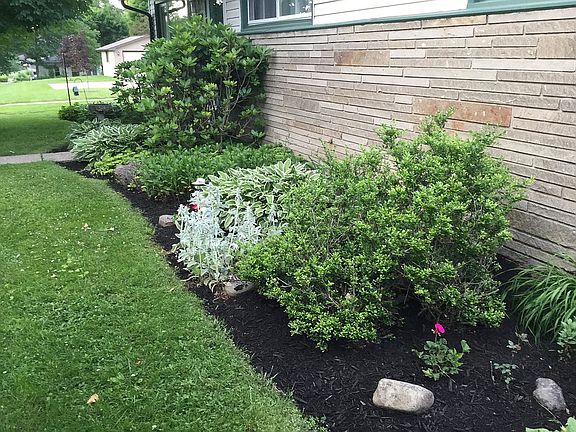 Perennials will bloom yearly