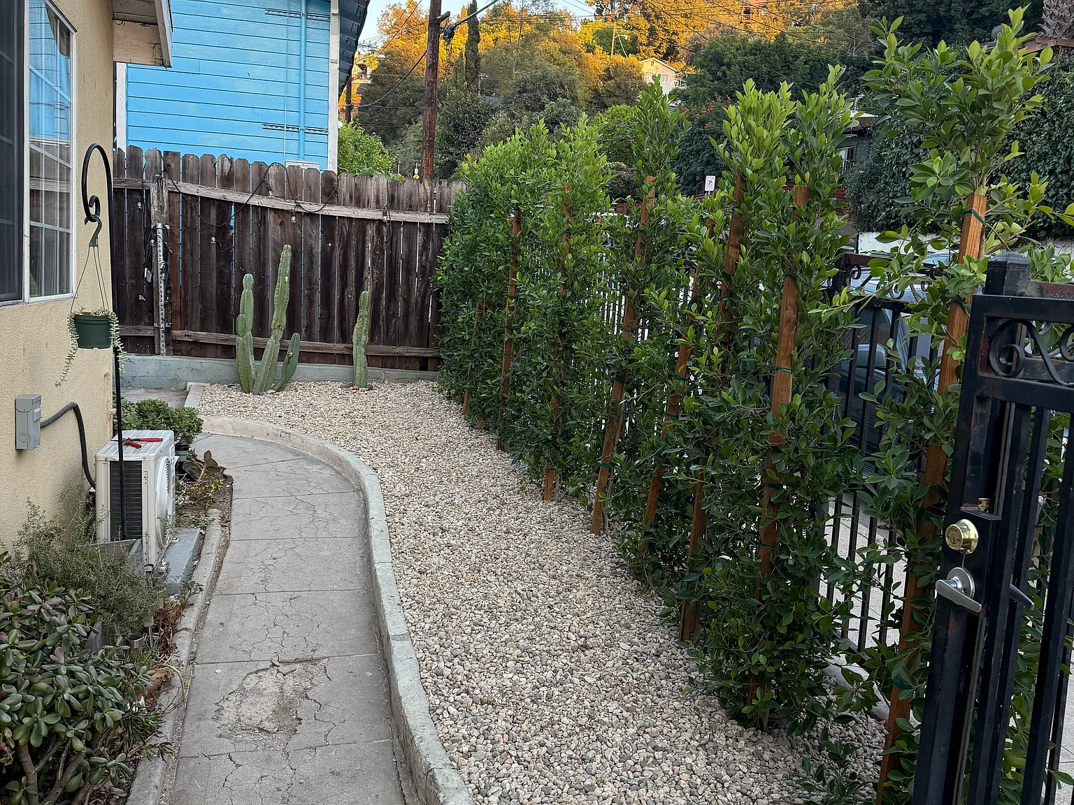 1 bed, 600 sqft, $2,395 — Photo 4
