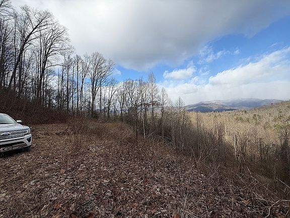 3rd image of 460 Whiteside Gap Rd