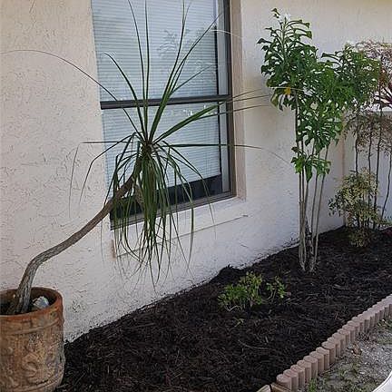 3rd image of 3316 India Palm Dr