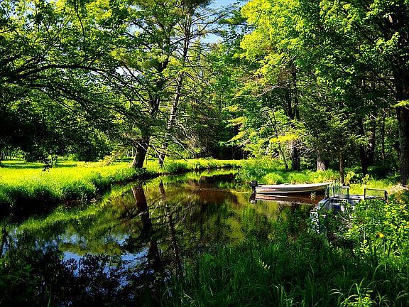 Forrest Brook/kayak launch