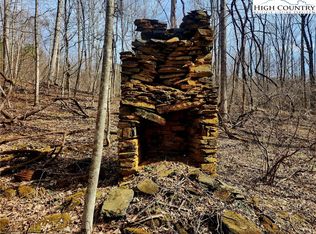 TRACT 8 Arborway Dr, Todd, NC 28684