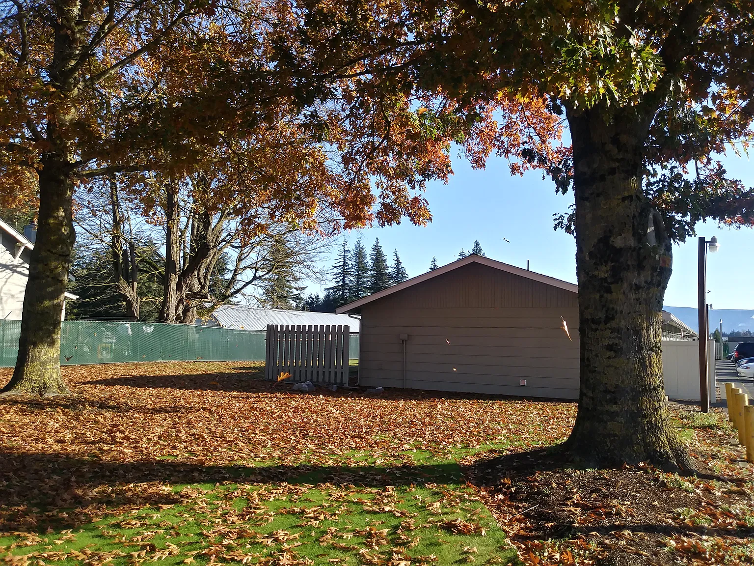 1 bed, $900 — Photo 4