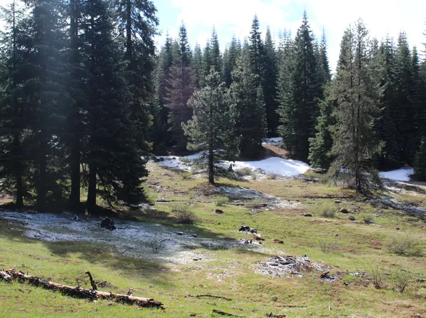 Keno Access Rd, Bly, OR 97622