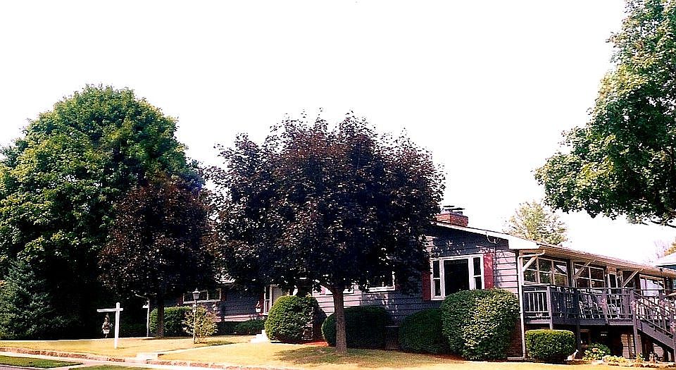 2nd image of 500 Daniels St