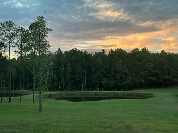 31769 Boston Rd, Dozier, AL 36028