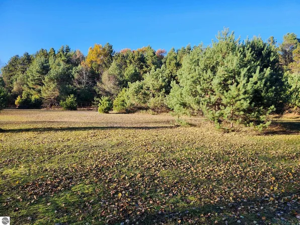 Vl 9 Mile Rd, Kaleva, MI 49645