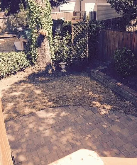 backyard patio.