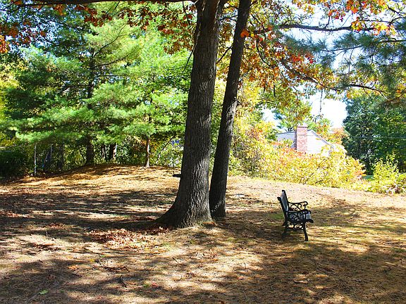 Side Yard
