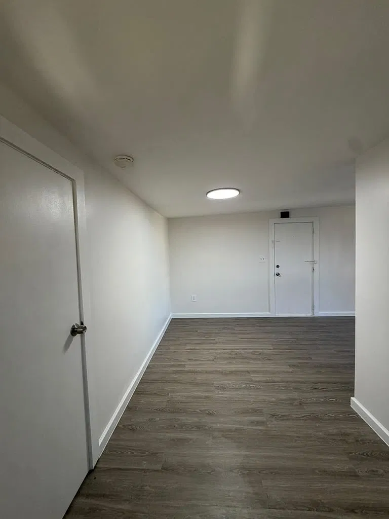 1 bed, $1,150 — Photo 3