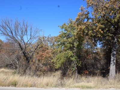 450 Rolling Hills Blvd, Alvord, TX, 76225