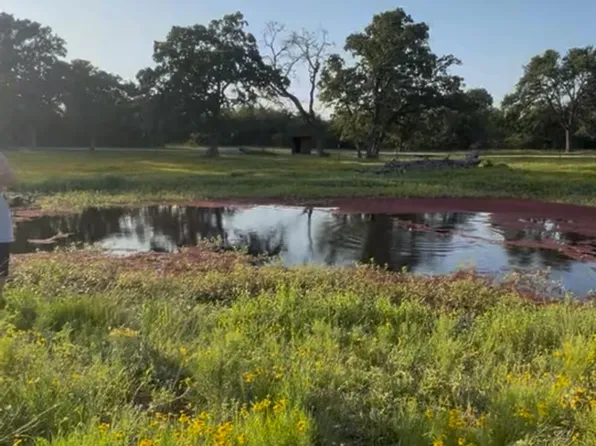 County Road 190, Anderson, TX 77830