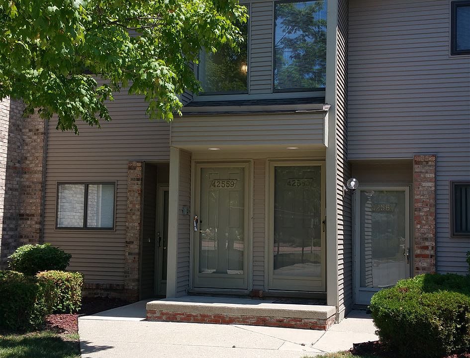 lilley pointe 2