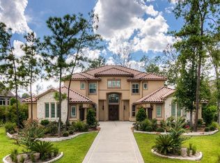 15 Rosy Finch Pl, The Woodlands, TX 77389