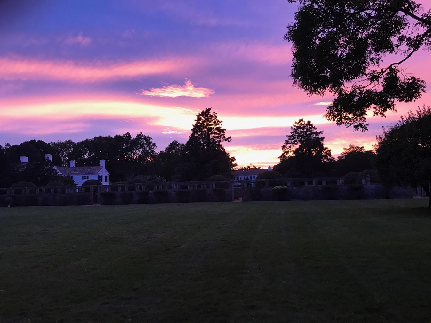 Back Yard View