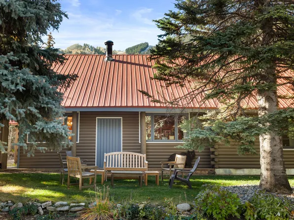 129 E Hopkins Ave, Aspen, CO 81611