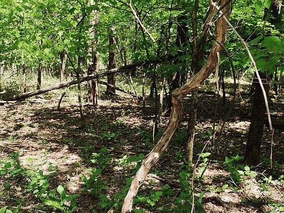 2nd image of 0 Coburntown Rd Lot 11