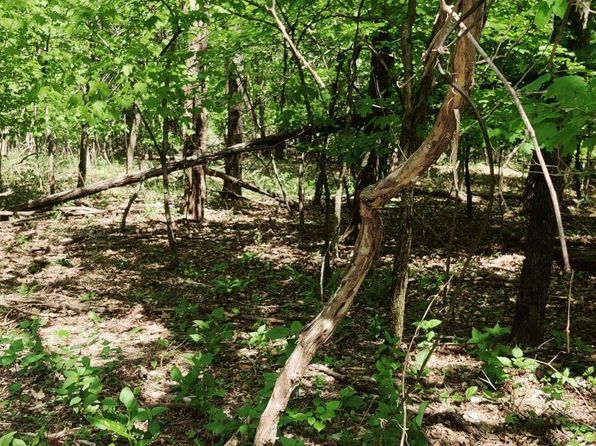 0 Coburntown Rd LOT 11, South Pittsburg, TN 37380