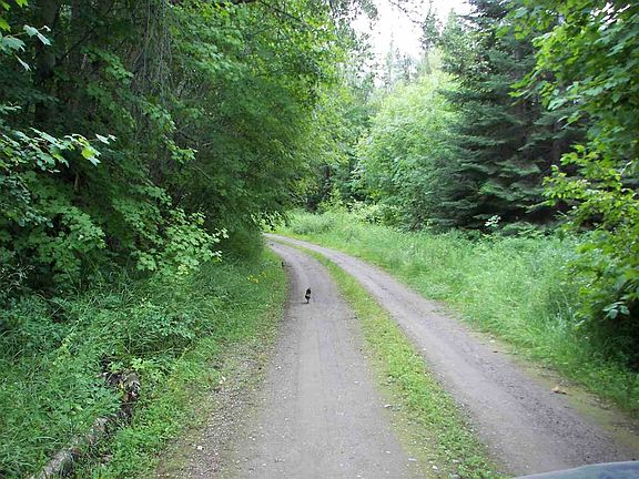 5th image of 1880 Blue Creek Rd