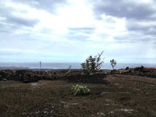 1st image of Kona Kai Blvd