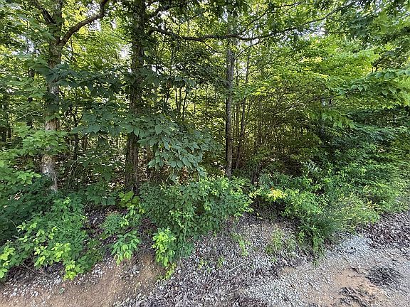 3rd image of 969 Lewallen Cemetery Rd