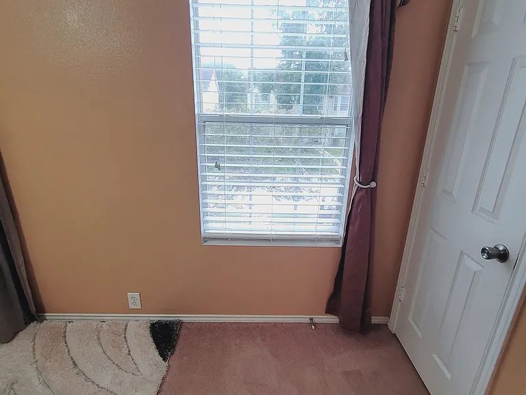 2107 Rustling Trees Way — Photo 42