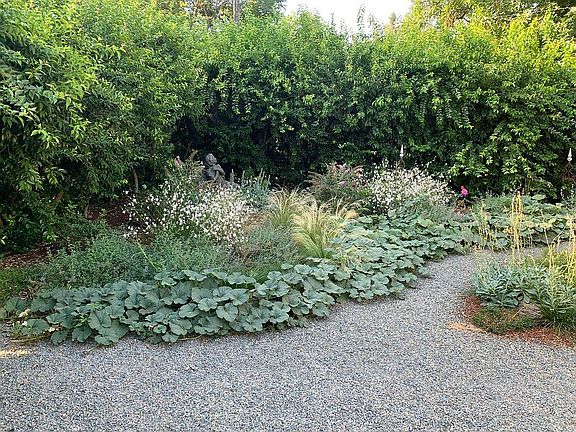 Professional landscaped