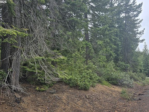 2nd image of 5 Royce Pine Rd