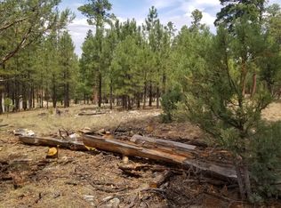 2188 San Juan Dr, Happy Jack, AZ 86024
