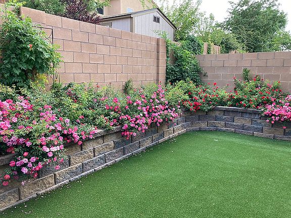 Backyard putting green