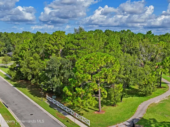 15049 Woodthorn Pass, Brooksville, FL 34609