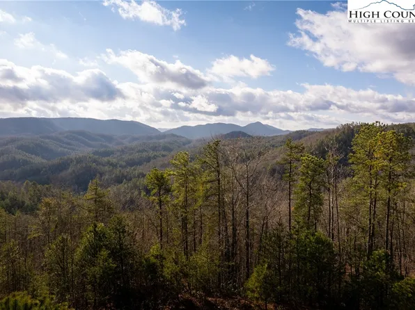 1320 Roundleaf Lane, Ferguson, NC 28624