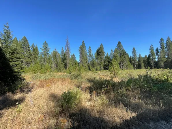 1XX1 Lynx Creek Rd, Inchelium, WA 99138