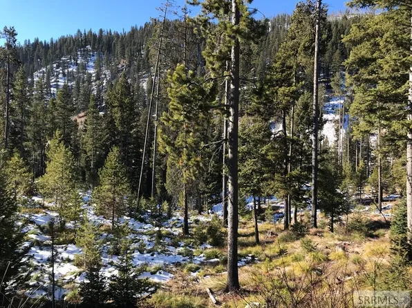 LOT 13 Kokopelli Dr, Salmon, ID 83467