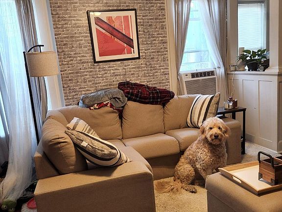 Nice Windows In Both Dining Room & Living Room * The Pup Not Included He's Just Comfortable There