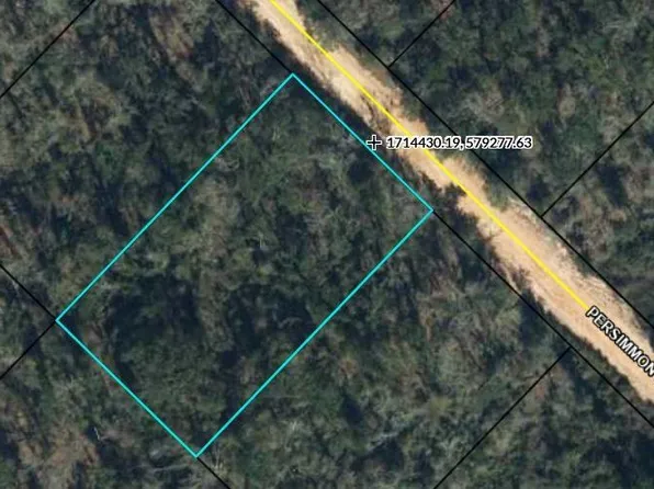 Persimmon Ln, Marianna, FL 32448