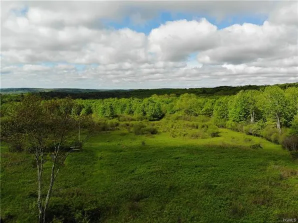 176 Menderis Rd, Jeffersonville, NY 12748