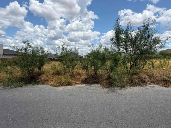 1425 El Zarape Ln, Laredo, TX 78043