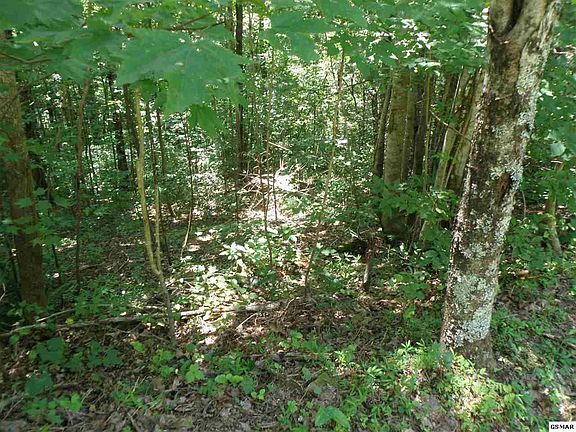 3rd image of 11 Mountain Rest Way Lot 11-C