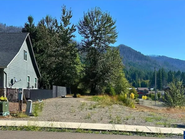 295 Janice Ct, Detroit, OR 97342