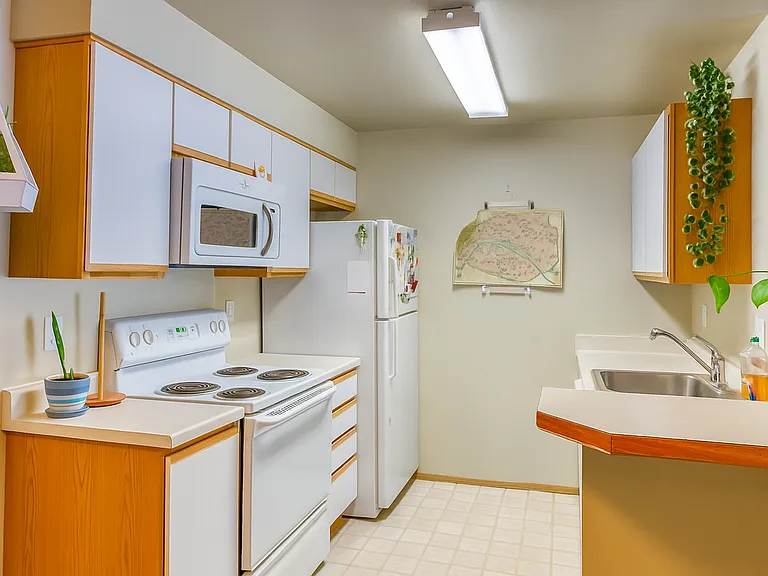 Fully-Equipped Kitchen