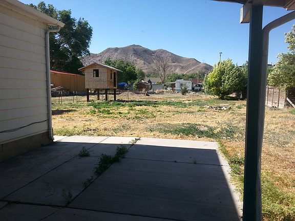 back yard