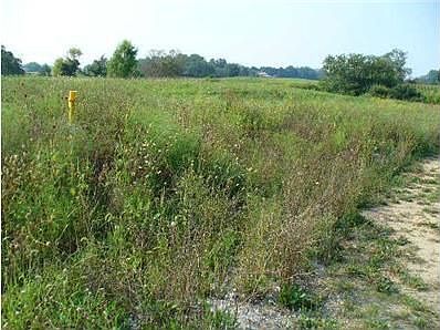 5th image of 32 Wildflower Dr