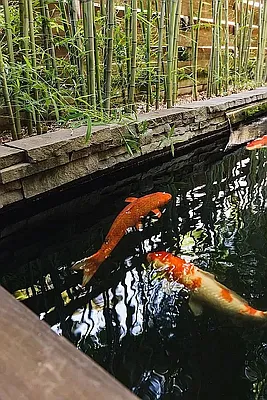 Rented by Gulia Wang, LREB | media 44