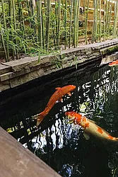 Rented by Gulia Wang, LREB