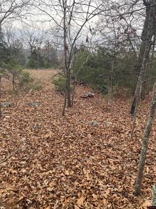 001-02798 Island Head Ln #1, Flippin, AR, 72634