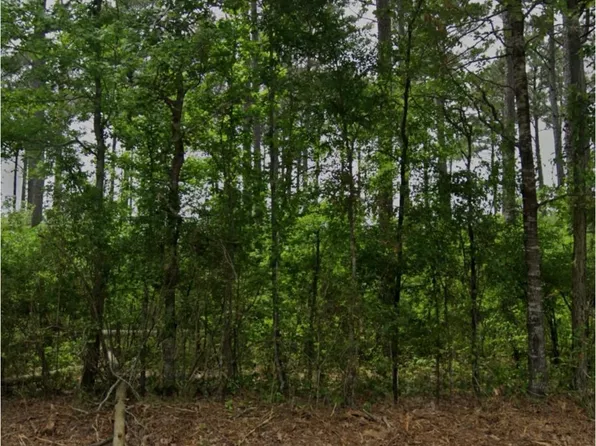 2590 Bodcau Dam Rd, Benton, LA 71006