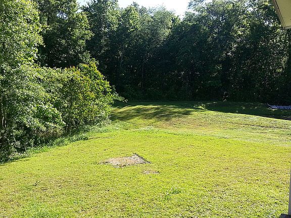 back yard view