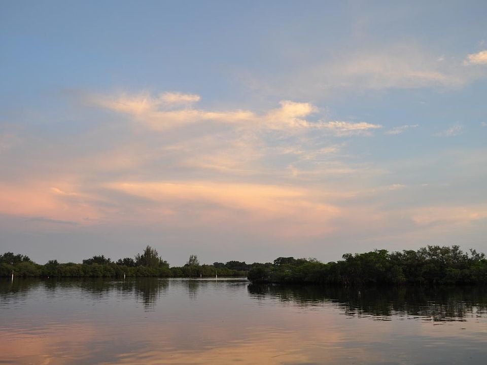 bayou